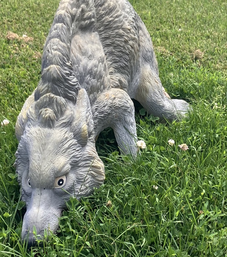 A wolf statue crouched in green grass